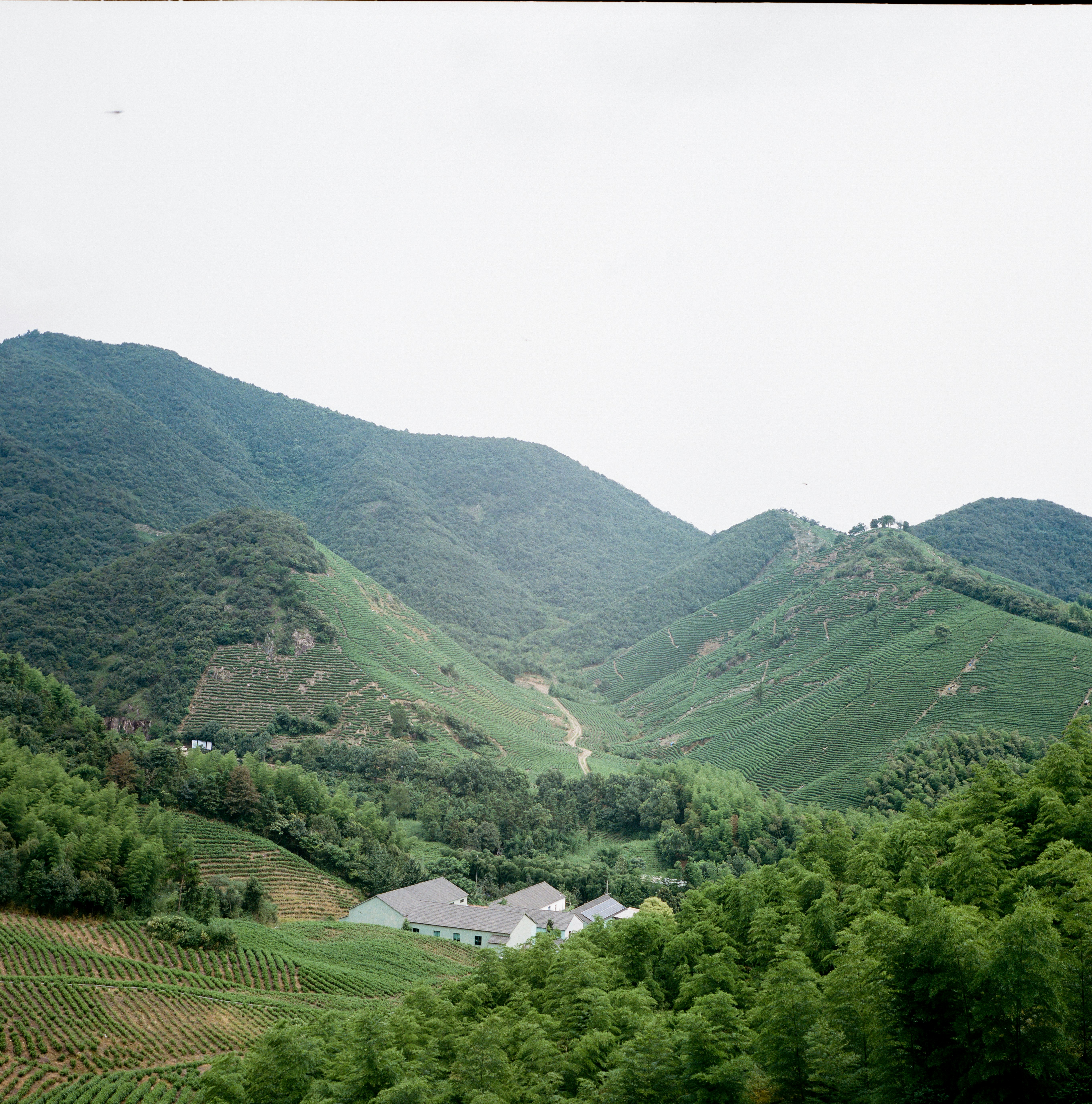 green mountains under white sky during daytime